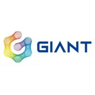 益达娱乐：巨人网络希望通过手机和网页游戏扩大玩家基础